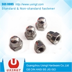 High quality Hexagon Domed Cap Nuts